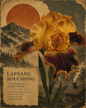Load image into Gallery viewer, Lapsang Souchong