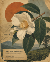 Load image into Gallery viewer, 2nd Flush Assam