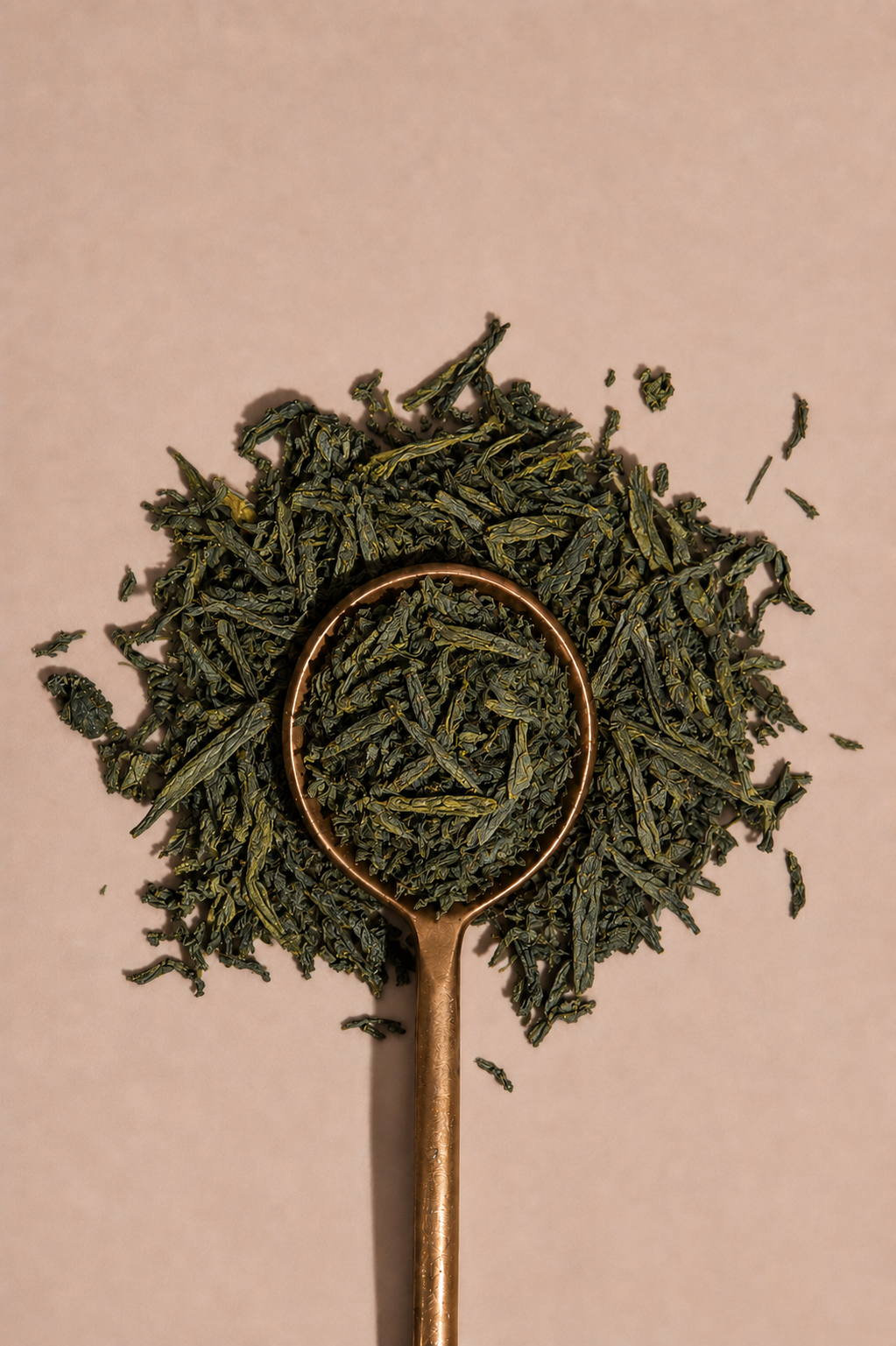 Canterbury Green tea with White tips
