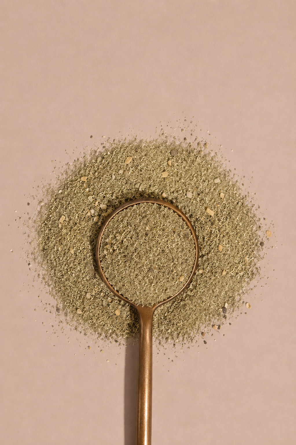 Canterbury Swig herbal Lemon Ginger & Spices