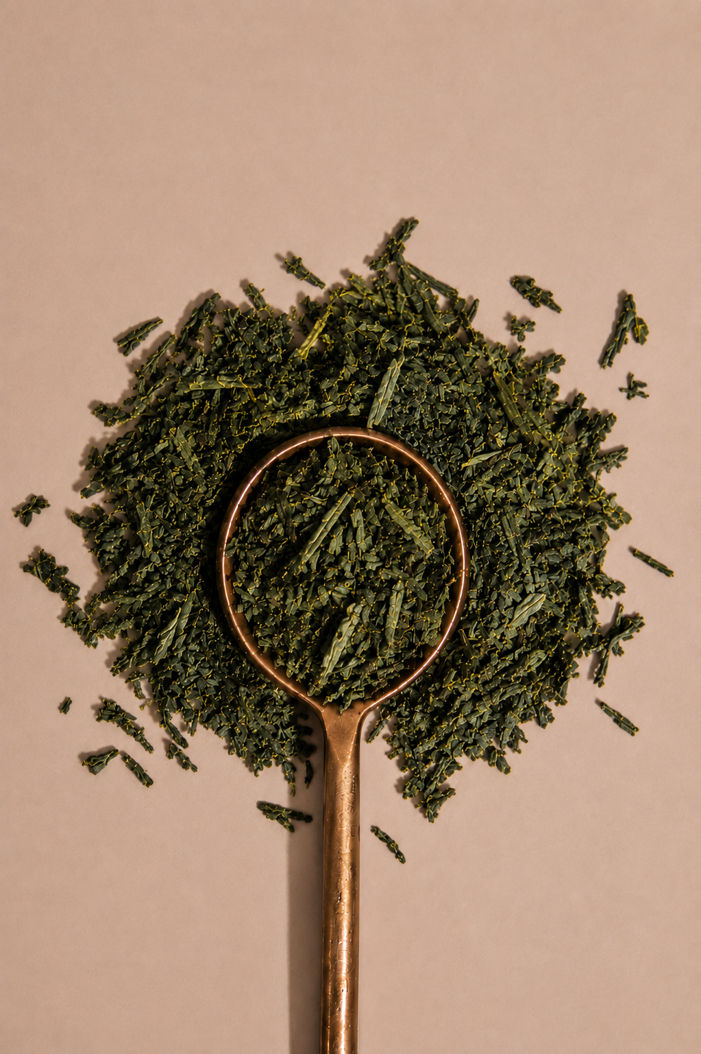 Sencha Brew  Green Tea  Japanese Sencha