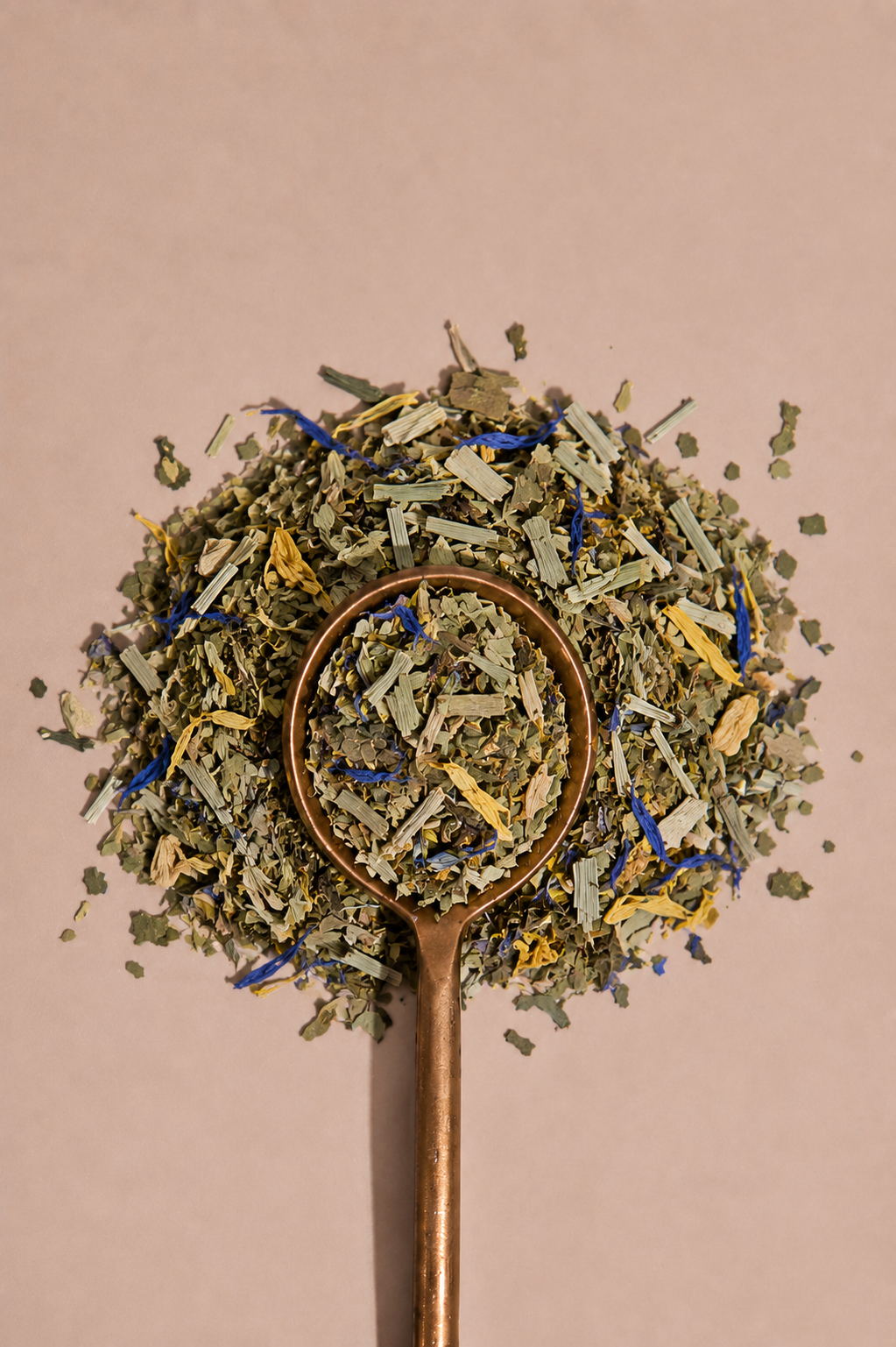 Think Like Socrateas Green Mate Brain reboot
