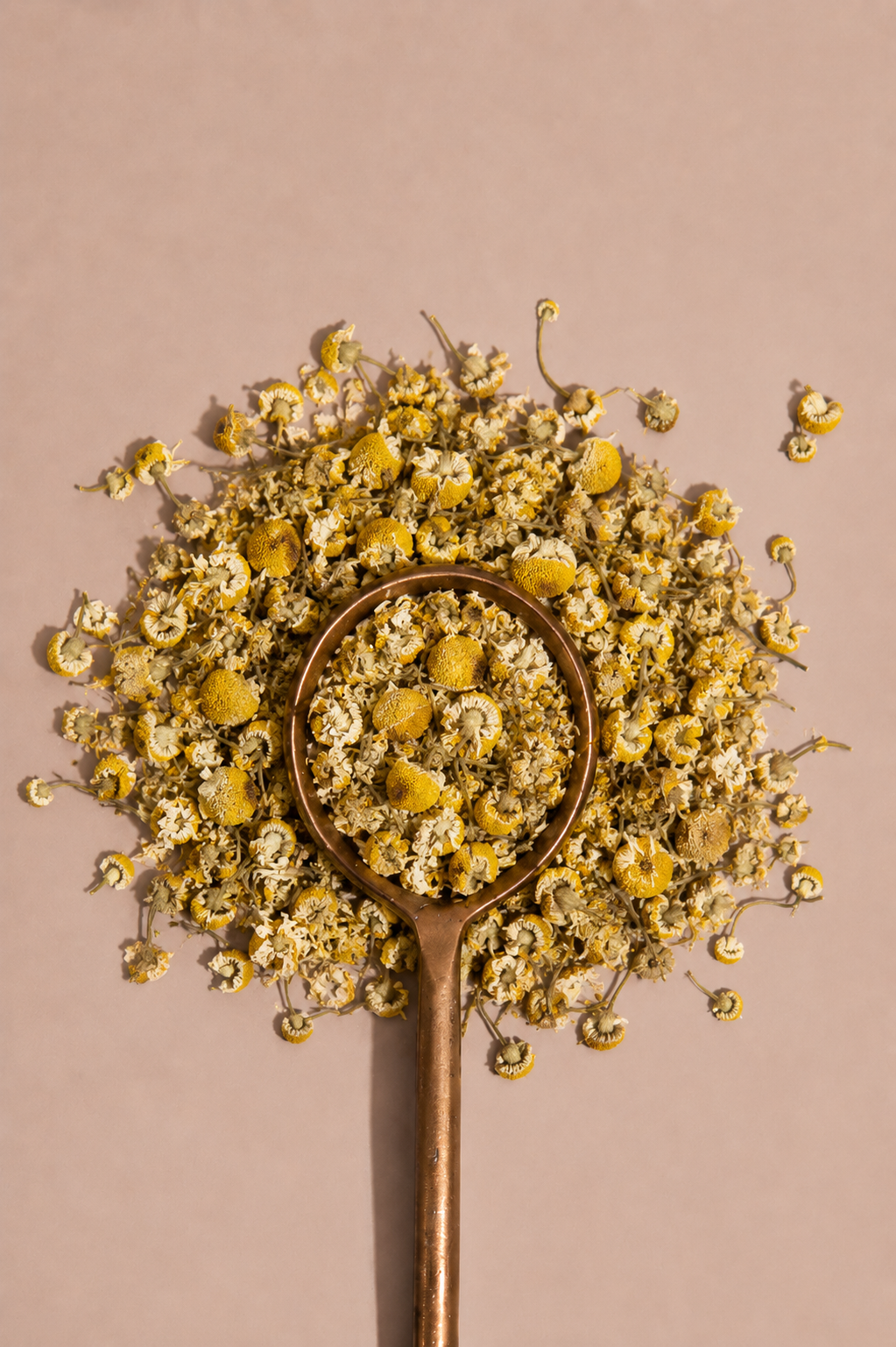 Zombie Nights Herbal Camomile Tea