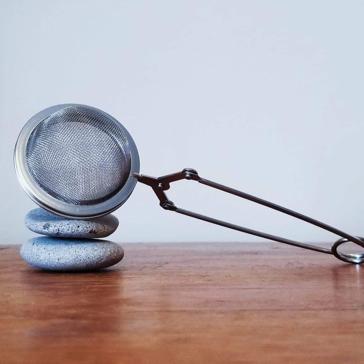 Tea Infuser - The Bug
