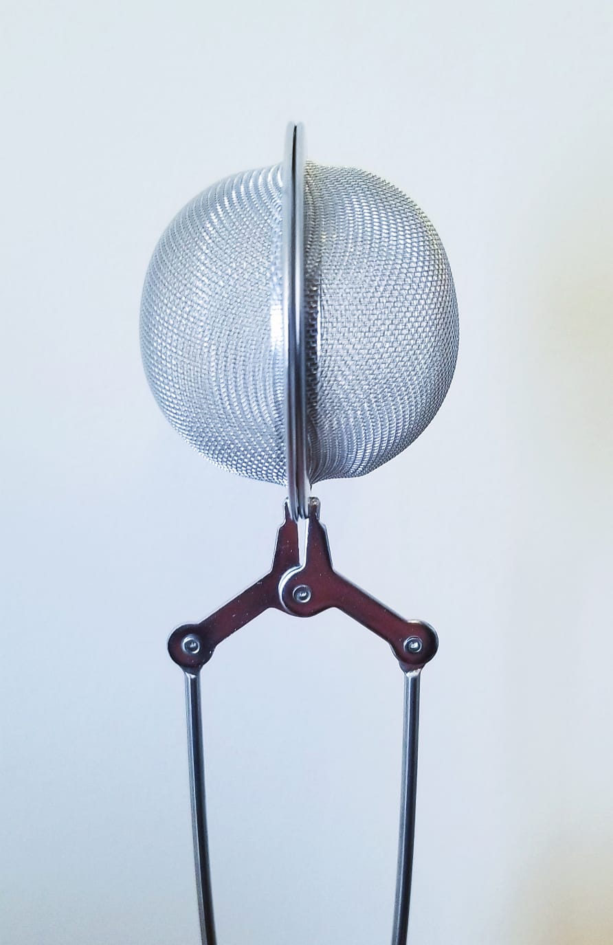 Tea Infuser - The Bug